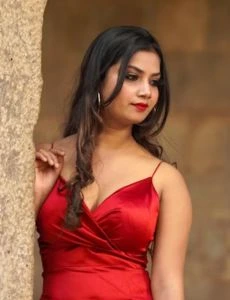 call girl service in Aspur